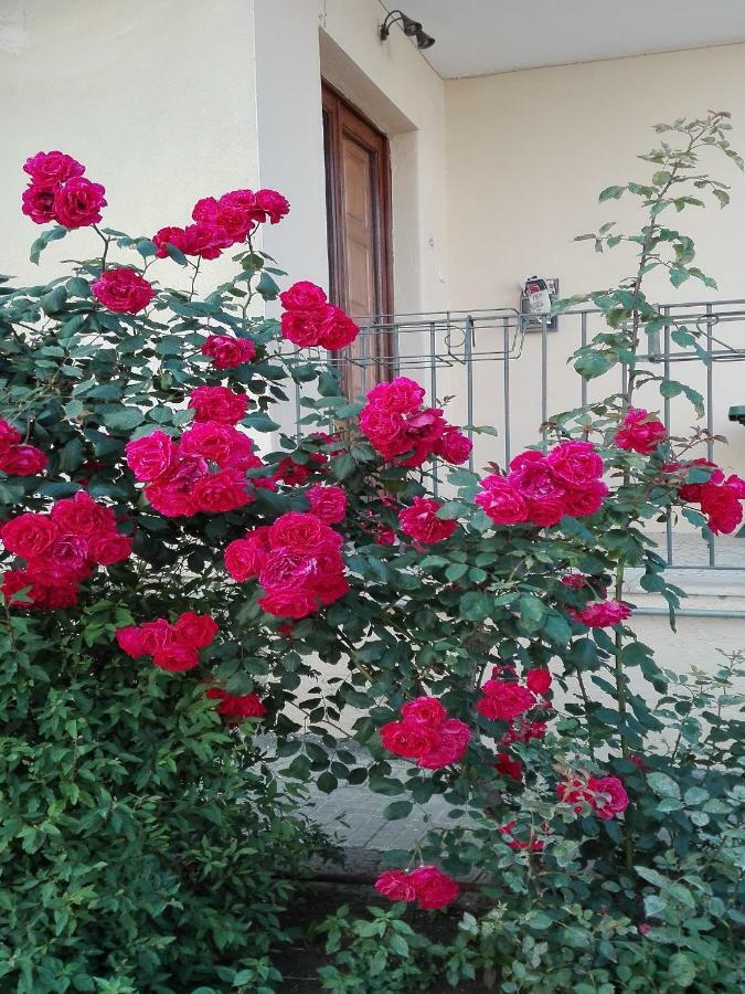 דירות לינגואגלוסה Casa Sciotto מראה חיצוני תמונה